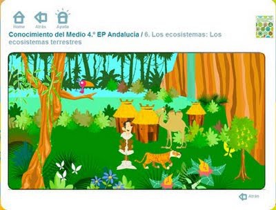 ECOSISTEMAS TERRESTRE
